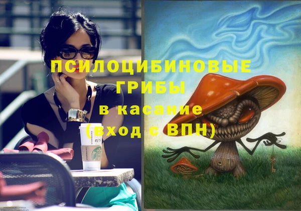 эйфоретик Медвежьегорск